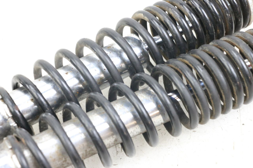 photo de HINTERE STOSSDÄMPFERPAAR DAELIM S3 125 (2010 - 2017) - Oberflächenzustand und Material