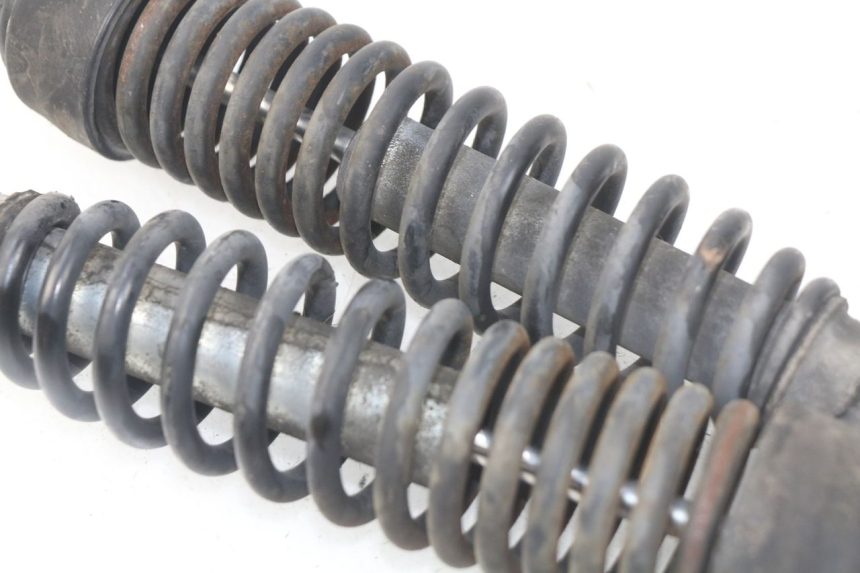 photo de PAAR FEDERBEIN  HONDA SES DYLAN 125 (2002 - 2006) - Gesamtansicht des Produkts