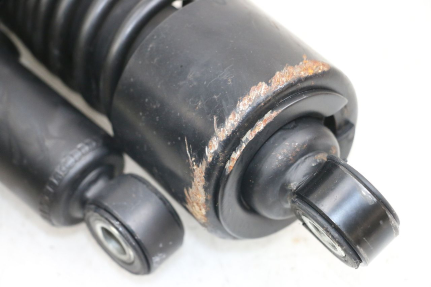 photo de PAAR FEDERBEIN  HARLEY DAVIDSON SPORTSTER XL CUSTOM 1200 (2003 - 2004) - Alternative Perspektive