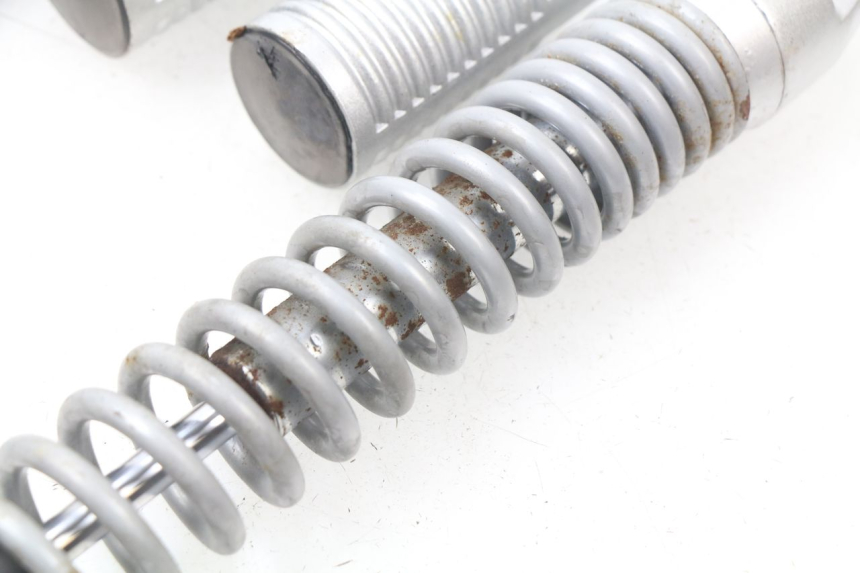 photo de PAAR FEDERBEIN  RAZZO STEED 125 (2012 - 2018) - Zoom auf Gebrauchszustand