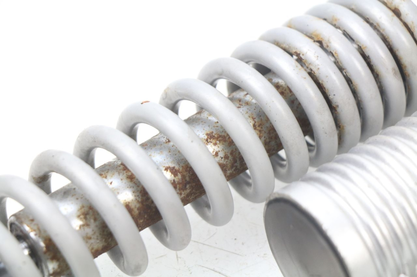 photo de PAAR FEDERBEIN  RAZZO STEED 125 (2012 - 2018) - Alternative Perspektive