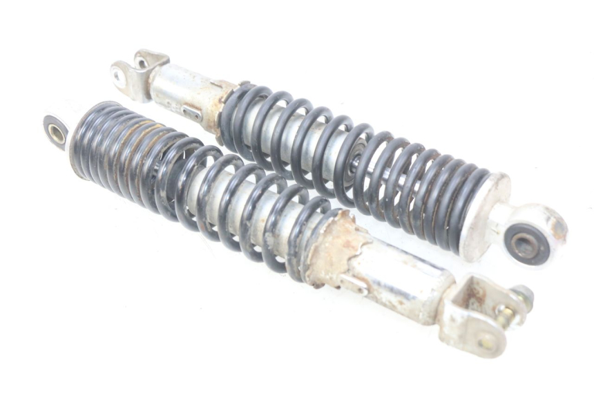 photo de HINTERE STOSSDÄMPFERPAAR EUROCKA VIRTUALITY GT 4T 50 (2011 - 2017) - Hauptansicht