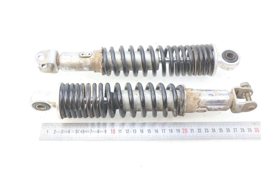 photo de HINTERE STOSSDÄMPFERPAAR EUROCKA VIRTUALITY GT 4T 50 (2011 - 2017) - Zoom auf Gebrauchszustand