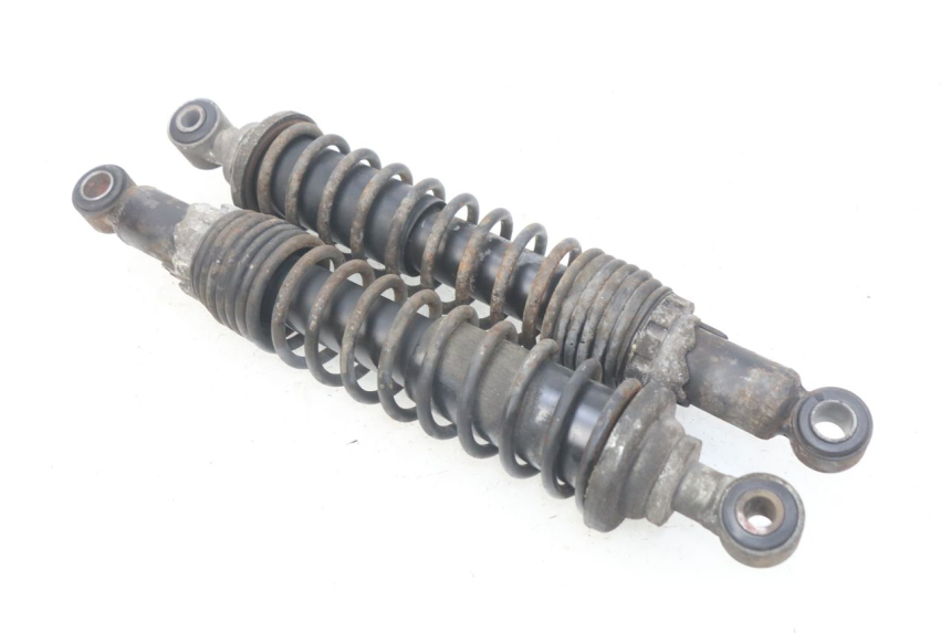 photo de HINTERE STOSSDÄMPFERPAAR PIAGGIO X9 EVOLUTION 125 (2003 - 2007) - Hauptansicht