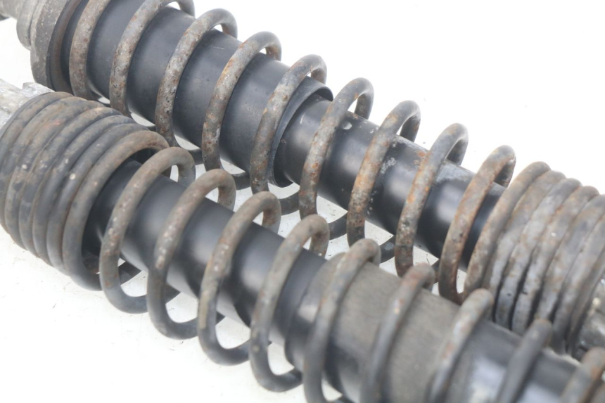 photo de HINTERE STOSSDÄMPFERPAAR PIAGGIO X9 EVOLUTION 125 (2003 - 2007) - Gesamtansicht des Produkts