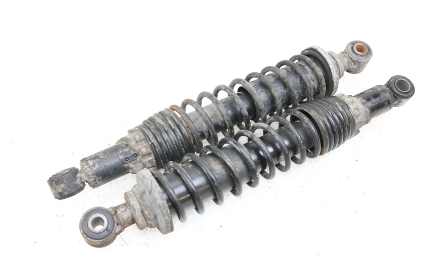 photo de HINTERE STOSSDÄMPFERPAAR PIAGGIO X9 125 (2000 - 2003) - Hauptansicht