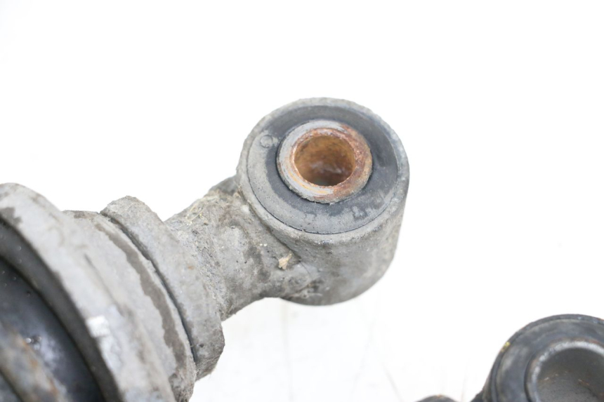 photo de HINTERE STOSSDÄMPFERPAAR PIAGGIO X9 125 (2000 - 2003) - Gesamtansicht des Produkts