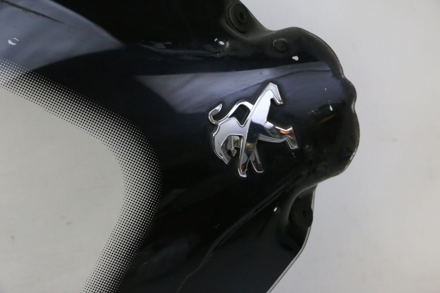 photo de WINDSCHUTZSCHEIBE PEUGEOT SATELIS 125 (2010 - 2012) - Fokus auf die Struktur