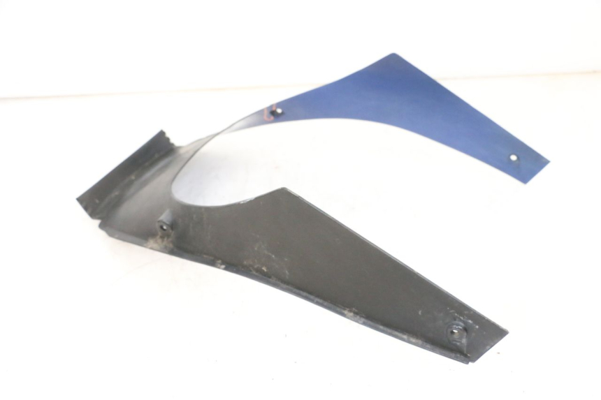 photo de RADHAUS VORNE KAWASAKI GPX R WARBIRD 600 (1988 - 1993) - Details der Befestigungspunkte