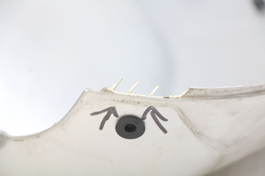 photo de VORDERRADABDECKUNG PEUGEOT KISBEE 4T 50 (2018 - 2022) - Alternative Perspektive