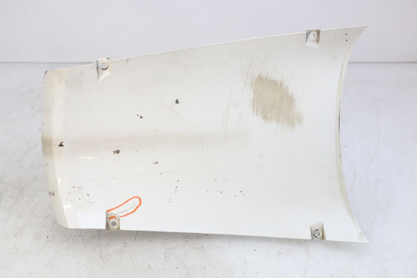 photo de VORDERRADABDECKUNG PEUGEOT TWEET 4T 50 (2018 - 2022) - Hauptansicht