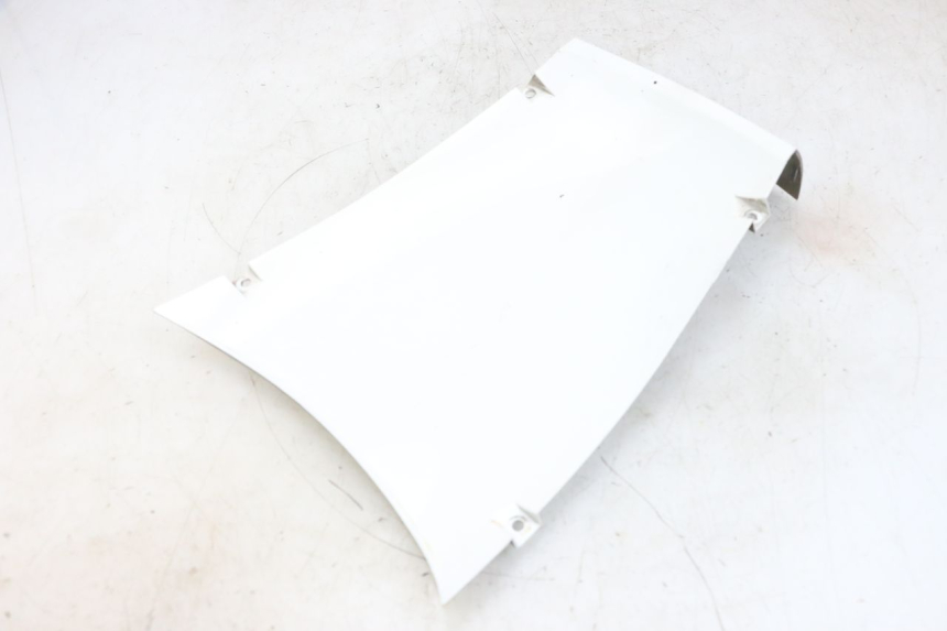 photo de RADHAUS VORNE PEUGEOT TWEET PRO EFI 4T 50 (2021 - 2022) - Hauptansicht