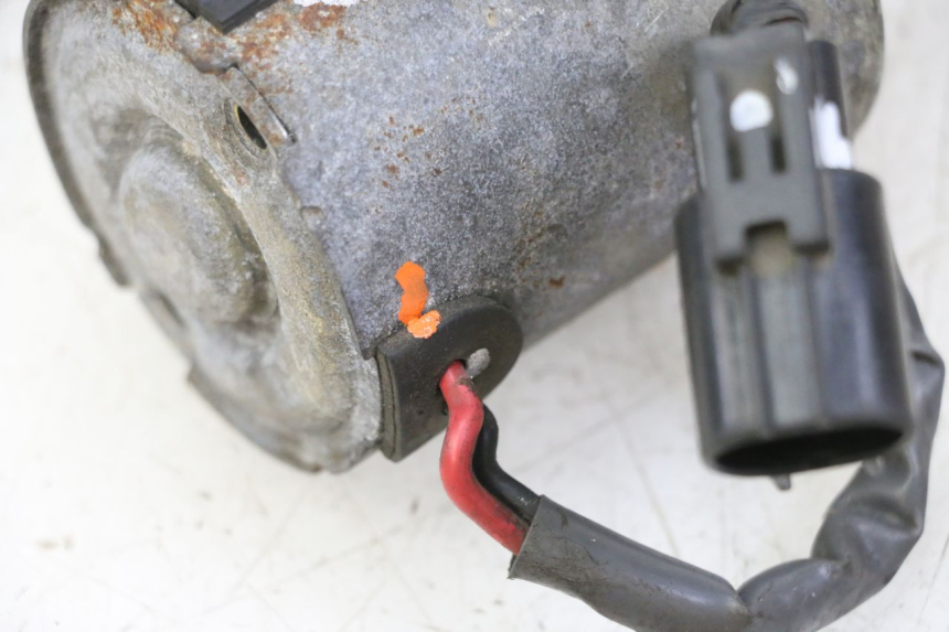 photo de RITZEL SUZUKI BURGMAN 650 (2002 - 2004) - Alternative Perspektive