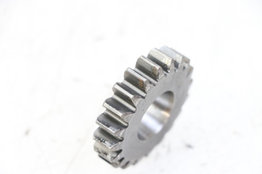 photo de RITZEL LONGJIA SHARPY 125 (2020 - 2024) - Alternative Perspektive