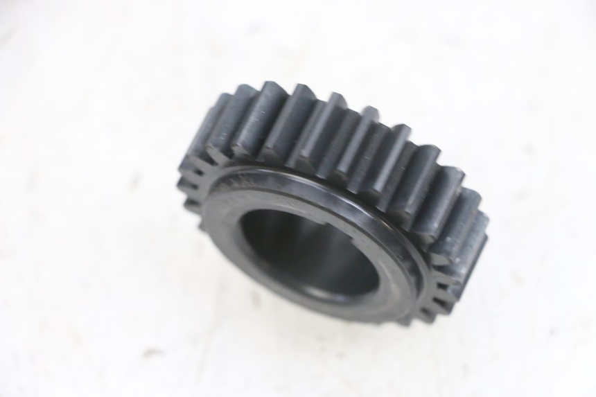 photo de RITZEL DAELIM S1 125 (2007 - 2016) - Zoom auf Gebrauchszustand