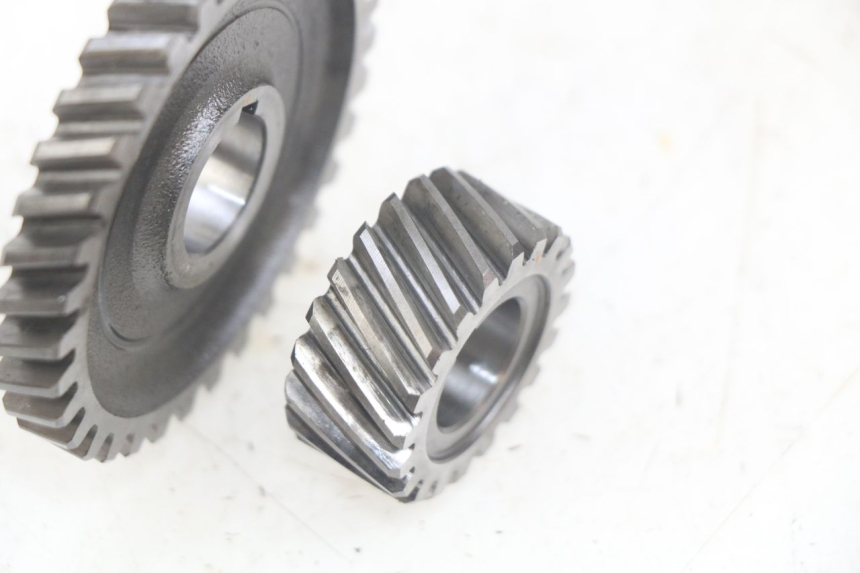 photo de RITZEL SHERCO SM-R 50 (2018 - 2021) - Alternative Perspektive