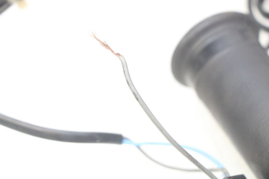 photo de GASGRIFF HONDA FES PANTHEON 2T 125 (1998 - 2002) - Technische Nahaufnahme