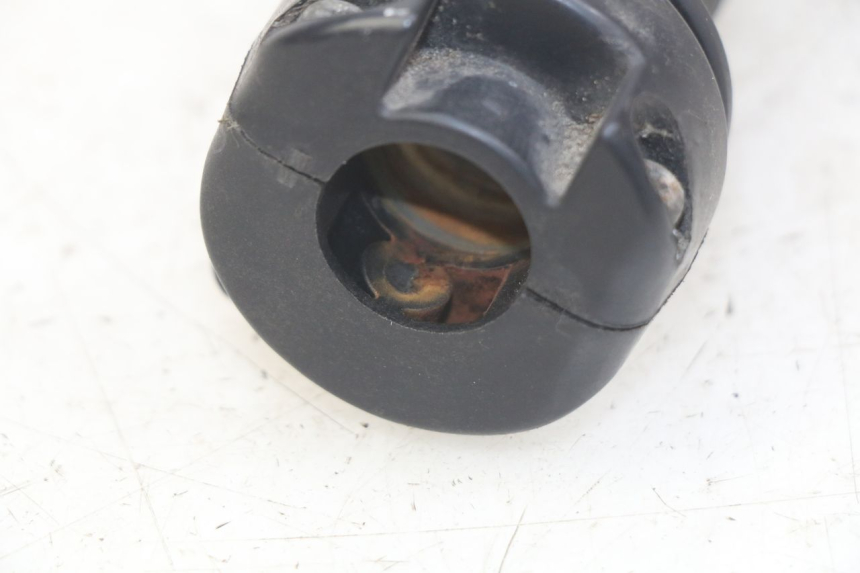 photo de GASGRIFF HONDA FES PANTHEON 2T 125 (1998 - 2002) - Technische Nahaufnahme