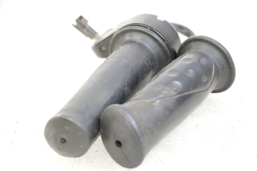 photo de GASGRIFF DOLPHIN PYGMY 1 (2020 - 2024) - Alternative Perspektive