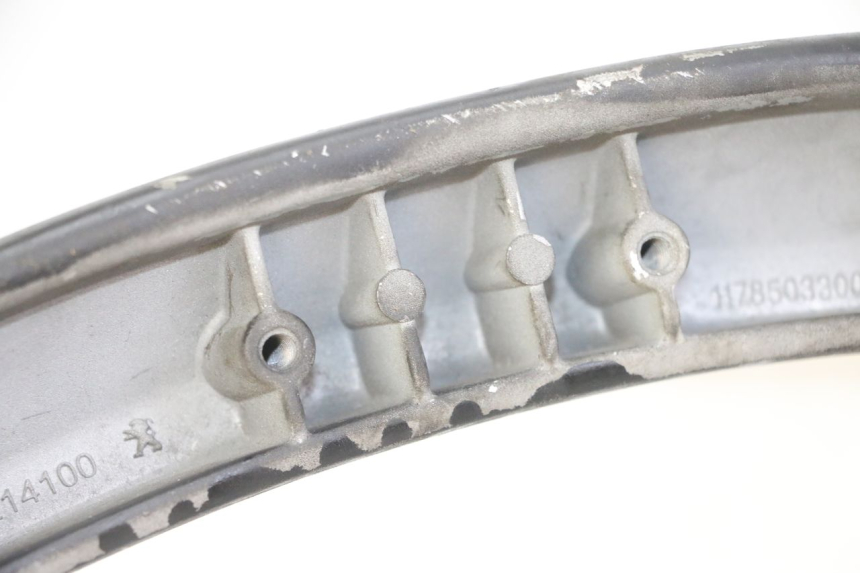 photo de HINTERRADGRIFF PEUGEOT CITYSTAR 50 (2013 - 2017) - Alternative Perspektive