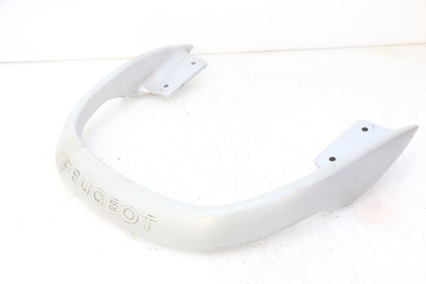 photo de HINTERRADGRIFF PEUGEOT CITYSTAR 50 (2013 - 2017) - Hauptansicht