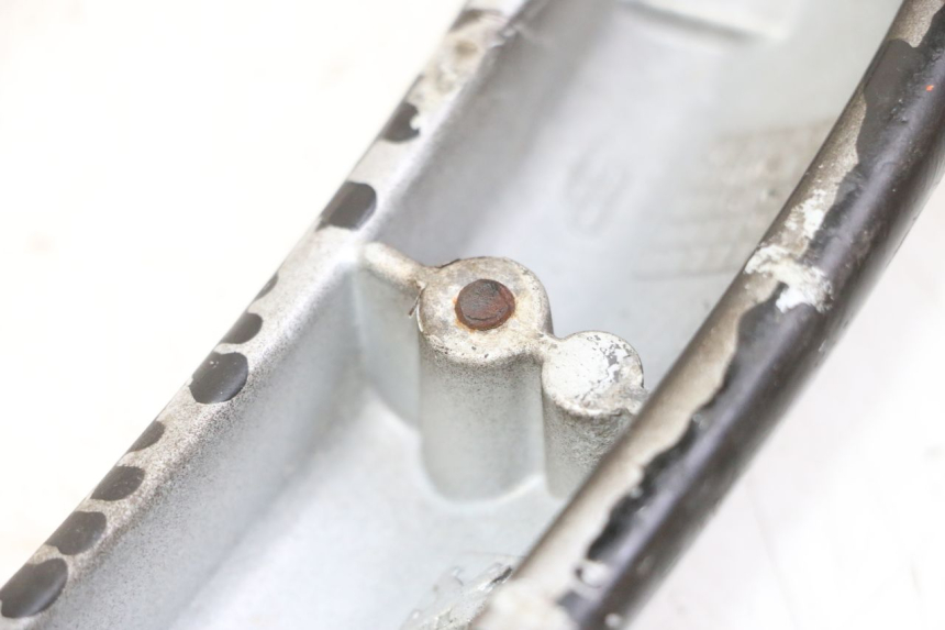 photo de HINTERRADGRIFF PEUGEOT CITYSTAR 50 (2013 - 2017) - Zoom auf Gebrauchszustand