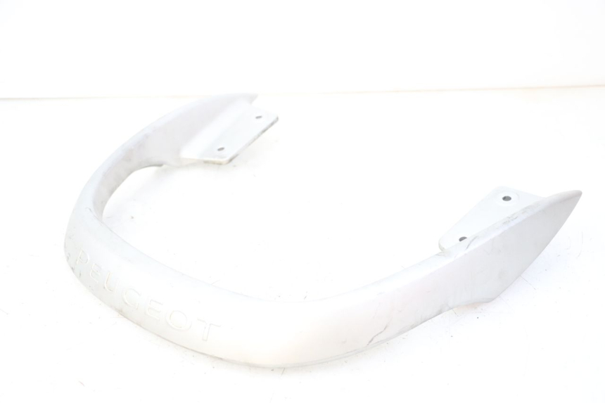 photo de HALTEGRIFF PEUGEOT CITYSTAR 125 (2011 - 2017) - Zoom auf Gebrauchszustand