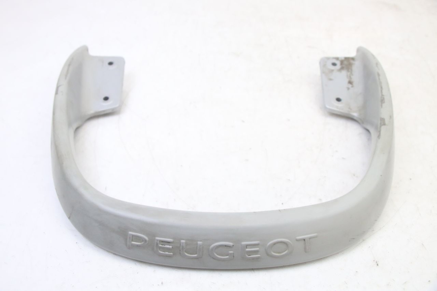 photo de HINTERRADGRIFF PEUGEOT CITYSTAR 50 (2013 - 2017) - Hauptansicht