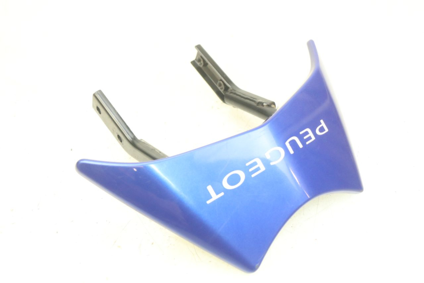 photo de HINTERRADGRIFF PEUGEOT SPEEDFIGHT 3 AIR 50 (2009 - 2015) - Hauptansicht