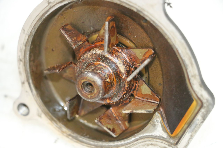 photo de WASSERPUMPE KAWASAKI GPX R WARBIRD 600 (1988 - 1993) - Kennzeichnungen und Originalreferenzen