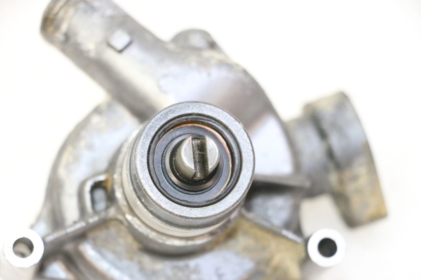 photo de WASSERPUMPE TRIUMPH SPRINT 900 (1995 - 1998) - Gesamtansicht des Produkts