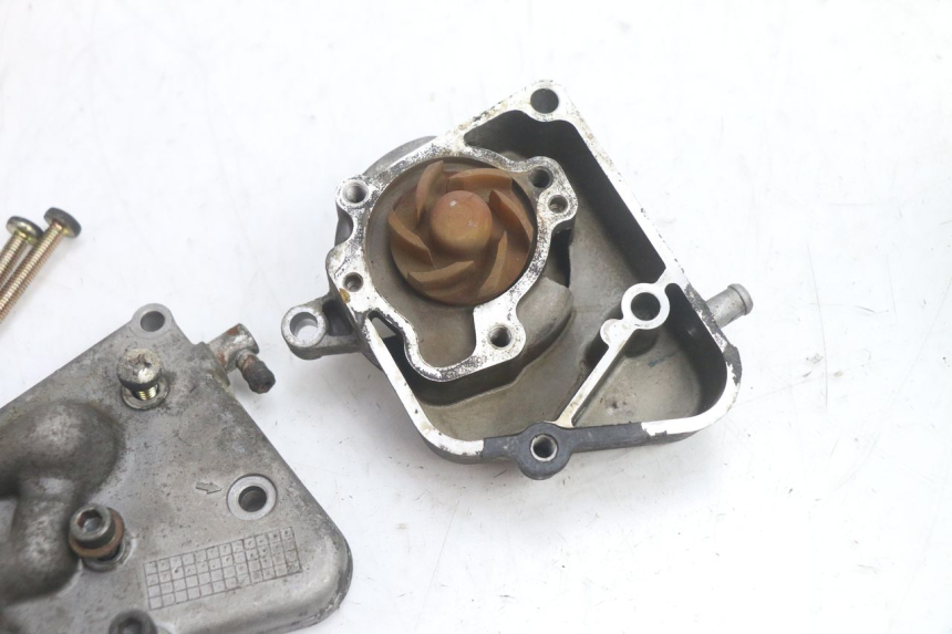 photo de WASSERPUMPE YAMAHA YP MAJESTY 125 (1998 - 2001) - Zoom auf Gebrauchszustand