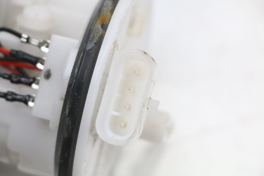 photo de BENZINPUMPE TNT MOTOR ROMA 10' 4T 50 (2019 - 2022) - Technische Nahaufnahme