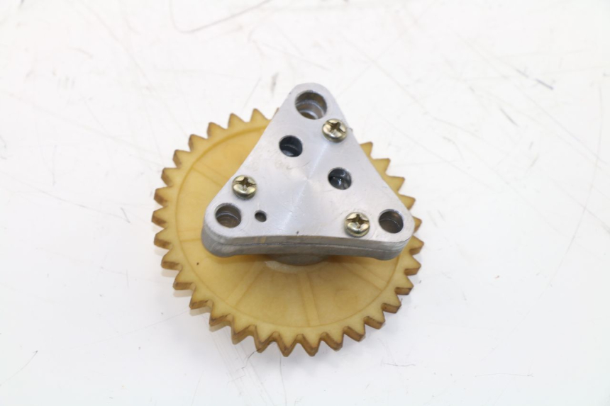 photo de ÖLPUMPE  BAOTIAN BT 49 QT-9 50 (2006 - 2010) - Zoom auf Gebrauchszustand