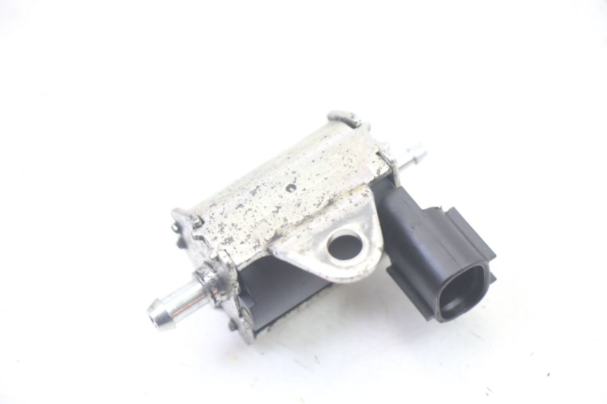 photo de ÖLPUMPE PEUGEOT CITYSTAR 50 (2013 - 2017) - Zoom auf Gebrauchszustand