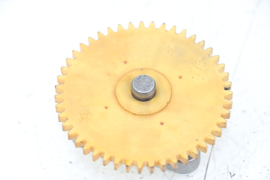 photo de ÖLPUMPE  LONGJIA DIGITA 4T 50 (2019 - 2022) - Hauptansicht