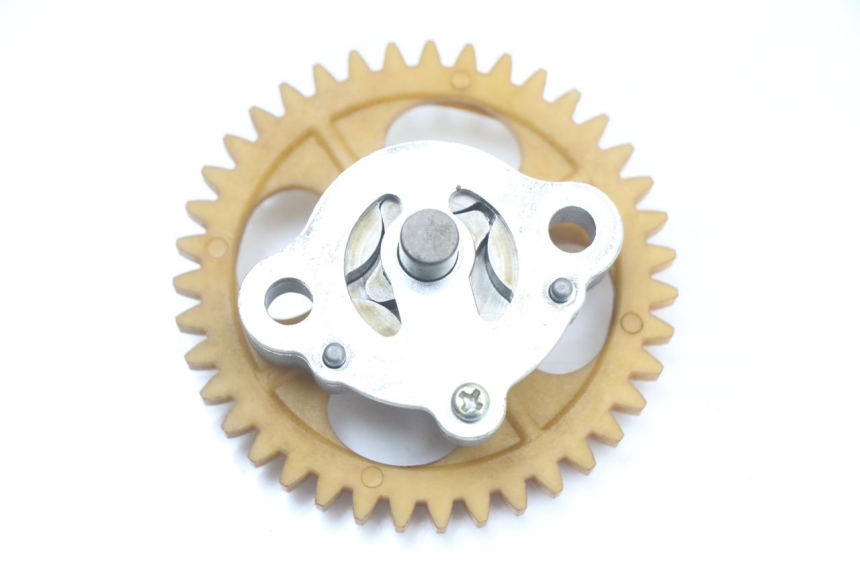 photo de ÖLPUMPE  LONGJIA EASY MAX 125 (2020 - 2024) - Hauptansicht