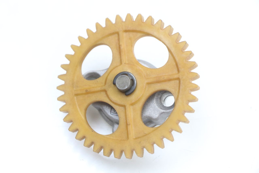 photo de ÖLPUMPE  LONGJIA EASY MAX 125 (2020 - 2024) - Detailansicht des Bauteils