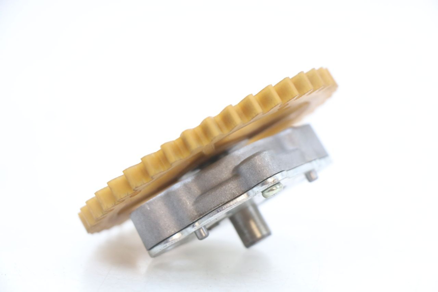 photo de ÖLPUMPE  LONGJIA EASY MAX 125 (2020 - 2024) - Zoom auf Gebrauchszustand