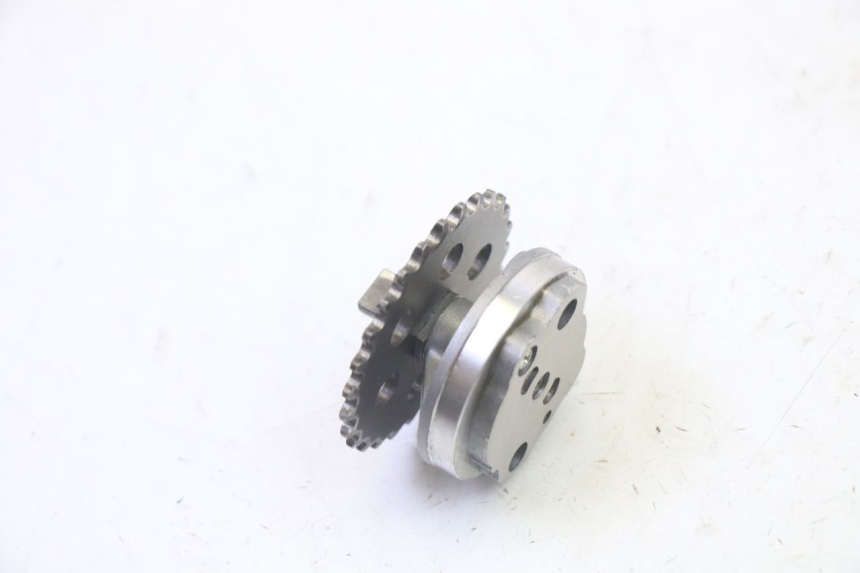 photo de ÖLPUMPE  HONDA FES S-WING SWING ABS 125 (2007 - 2015) - Zoom auf Gebrauchszustand