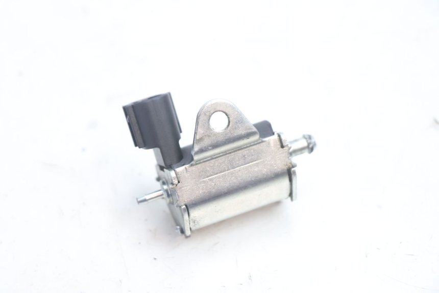 photo de ÖLPUMPE  PEUGEOT LUDIX ONE 14P 50 (2004 - 2013) - Zoom auf Gebrauchszustand