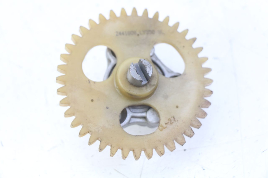 photo de ÖLPUMPE SPY RACING F3 350 (2015 - 2022) - Hauptansicht