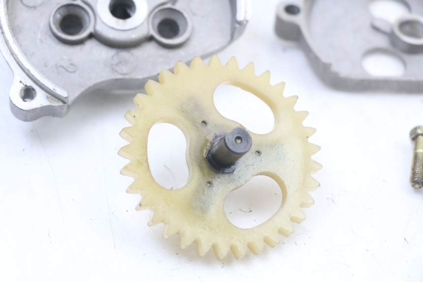 photo de ÖLPUMPE REGAL RAPTOR RAXTER 2 125 (2007 - 2015) - Details der Befestigungspunkte