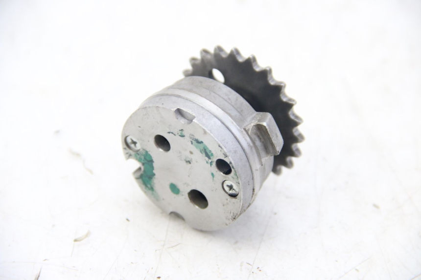 photo de ÖLPUMPE APRILIA SCARABEO 4T 50 (2009 - 2017) - Alternative Perspektive