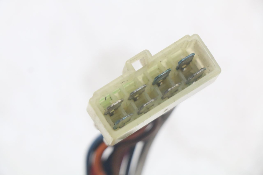 photo de SICHERUNGSHALTER TRIUMPH SPEED TRIPLE T301 900 (1994 - 1996) - Details der Befestigungspunkte