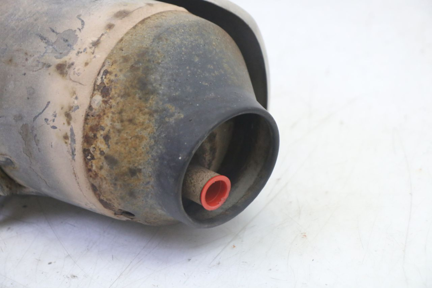 photo de AUSPUFFTOPF HONDA FES S-WING SWING ABS 125 (2007 - 2015) - Charakteristische Merkmale