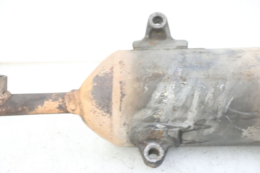 photo de AUSPUFFTOPF HONDA FES S-WING SWING ABS 125 (2007 - 2015) - Charakteristische Merkmale