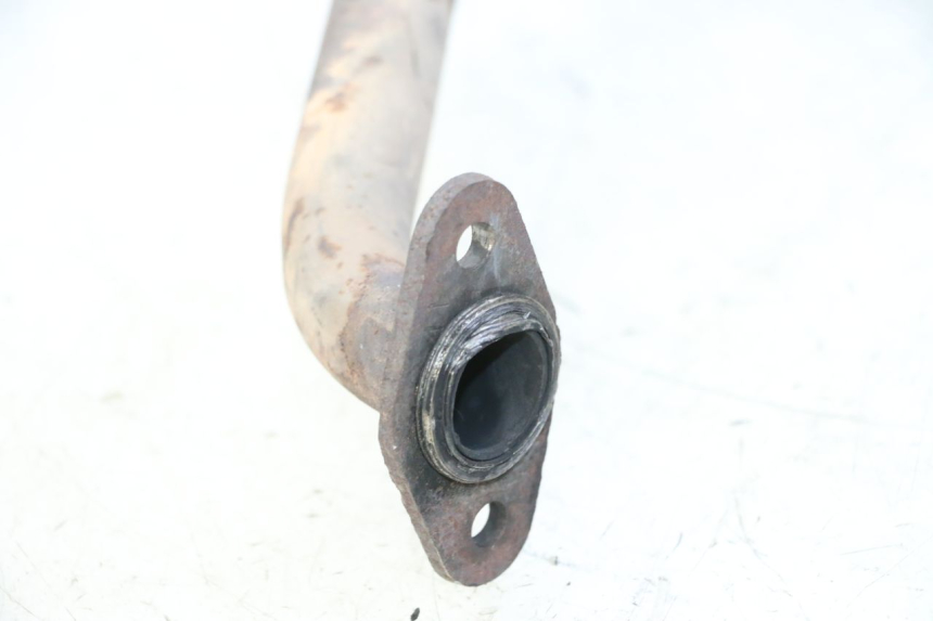 photo de AUSPUFFTOPF HONDA FES S-WING SWING ABS 125 (2007 - 2015) - Detaillierte Sichtprüfung