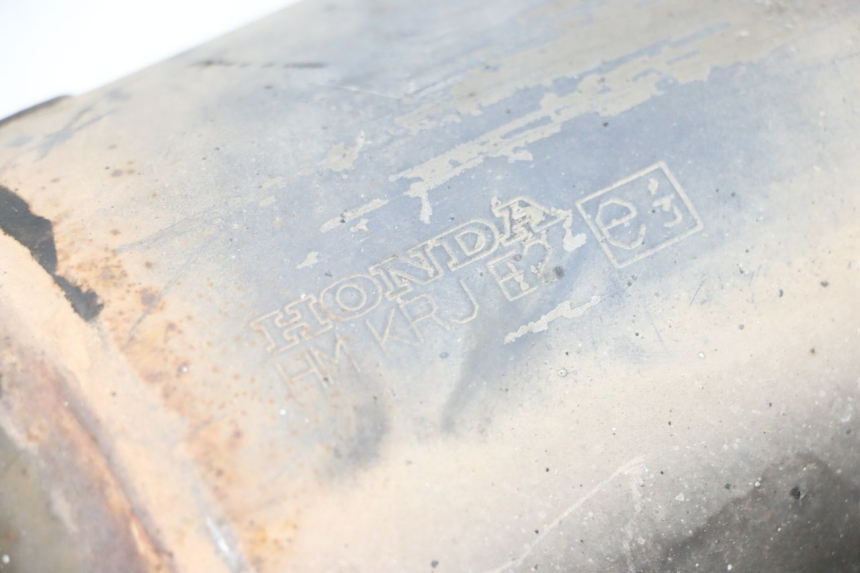 photo de AUSPUFFTOPF HONDA FES S-WING SWING ABS 125 (2007 - 2015) - Zoom auf Gebrauchszustand