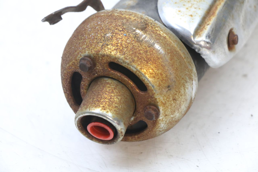 photo de AUSPUFFTOPF EUROCKA GTR 50 (2007 - 2017) - Zoom auf Gebrauchszustand